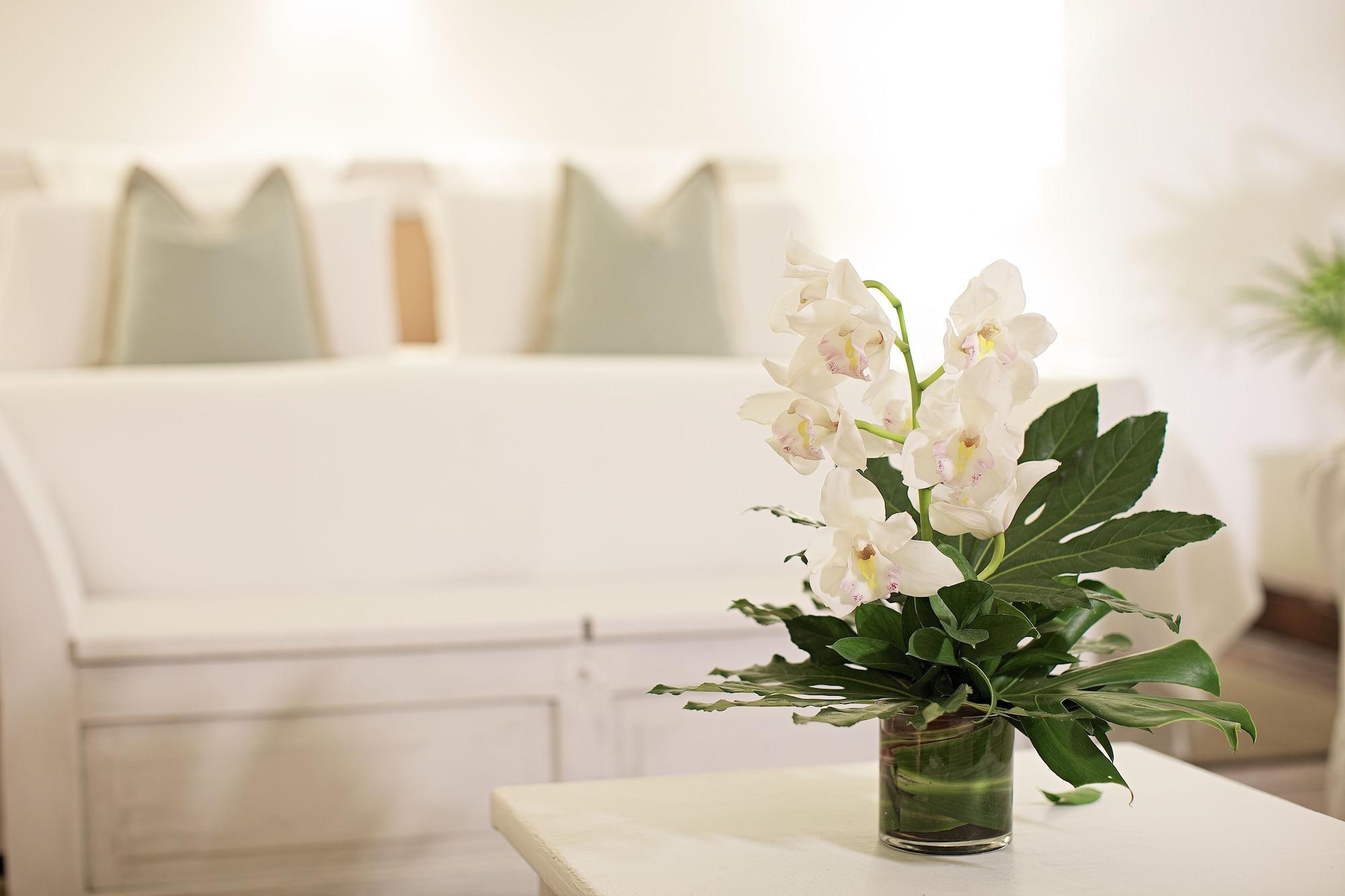 Casa Belle Boutique Hotel Cartagena المظهر الخارجي الصورة